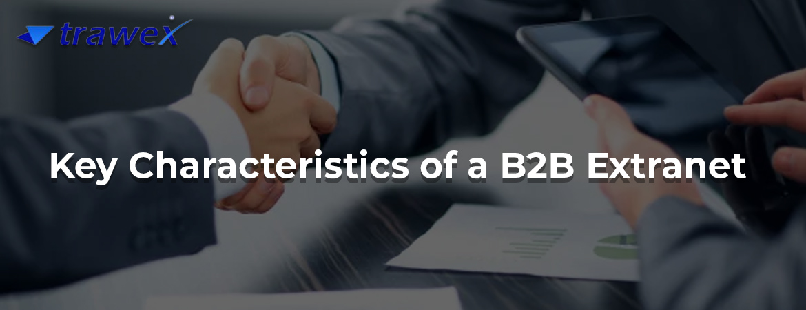 Key Characteristics of a B2B Extranet