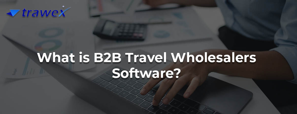 What is B2B Travel Wholesalers Software?