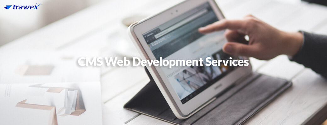 cms-development-services