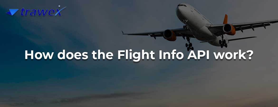 How does the Flight Info API work?