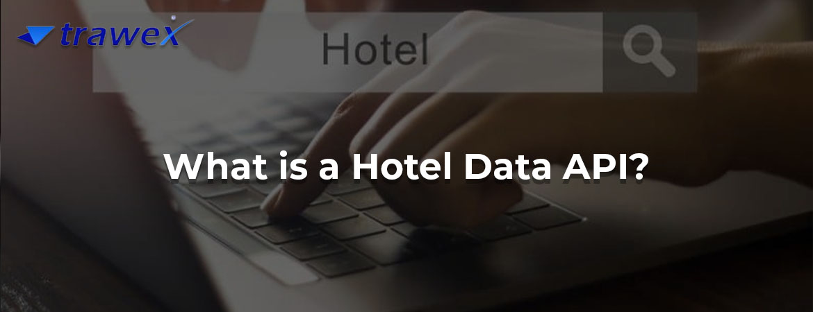 What is a Hotel Data API?