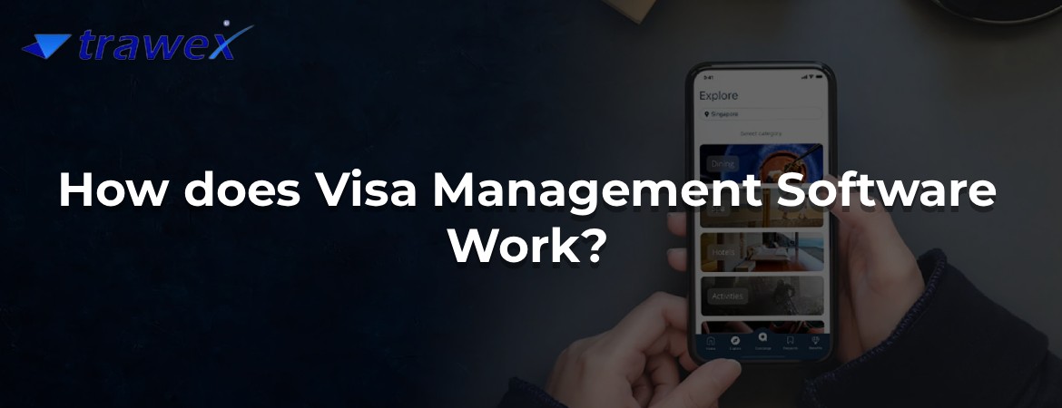 How does Visa Management Software Work?